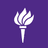 New York University