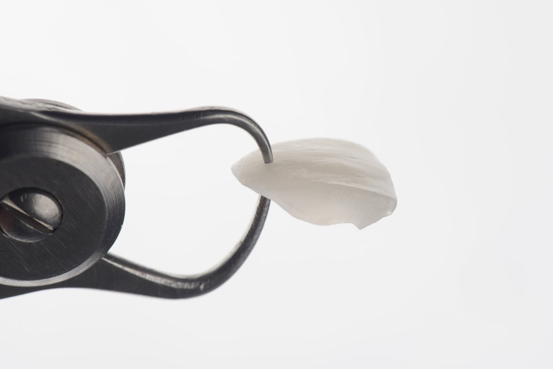 Su-veneer — a veneer shell held in tweezers
